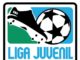 Presentan hoy proyecto deportivo ‘La Liga Juvenil Fútbol 11’