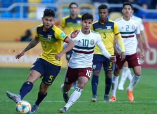 Alfaro probará a jugadores nuevos ante México